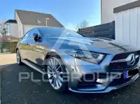 2019 Mercedes Benz CLS 300