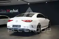 2019 Mercedes Benz CLS 220