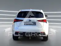 2019 Lexus NX300