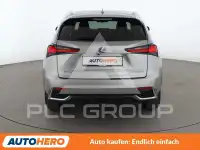 2019 Lexus NX300