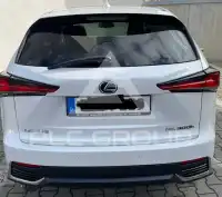 2019 Lexus NX300