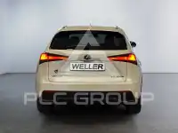 2019 Lexus NX300