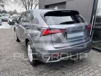2019 Lexus NX300