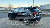 2019 Lexus NX300