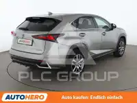 2019 Lexus NX300