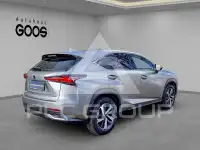 2019 Lexus NX300
