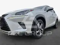 2019 Lexus NX300