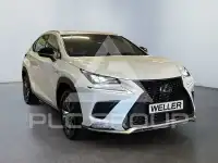 2019 Lexus NX300