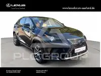 2019 Lexus NX300