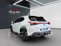 2019 Lexus Other