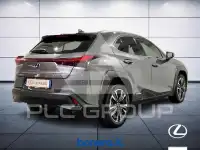 2019 Lexus Other