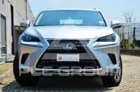 2019 Lexus Other