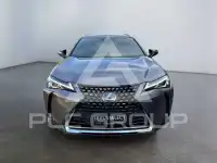 2019 Lexus UX