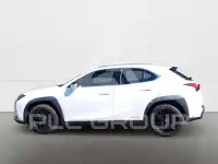 2019 Lexus UX