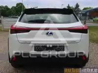 2019 Lexus UX
