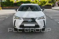 2019 Lexus UX
