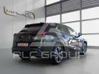 2019 Lexus UX