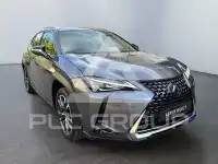 2019 Lexus UX