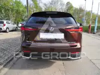 2019 Lexus NX250
