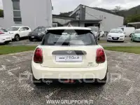 2019 Mini Unknown