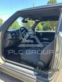 2019 Mini Unknown