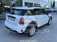 2019 Mini Countryman