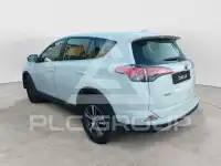 2019 Toyota Other