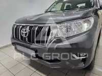 2019 Toyota LAND CRUISER