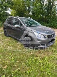 2019 Peugeot 2008