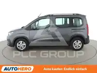 2019 Peugeot Rifter