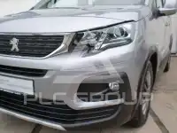 2019 Peugeot Rifter