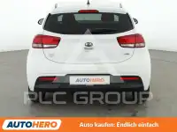 2019 KIA Rio
