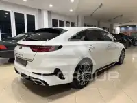 2019 KIA Unknown