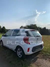 2019 KIA Picanto