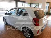 2019 KIA Picanto