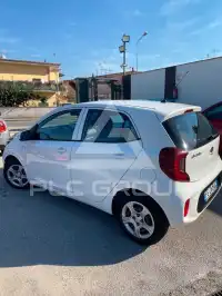 2019 KIA Picanto