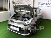 2019 KIA Picanto