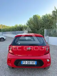 2019 KIA Picanto