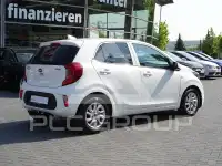 2019 KIA Picanto
