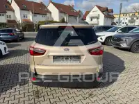 2019 Ford Eco Sport