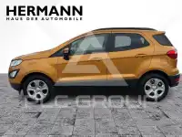 2019 Ford Eco Sport