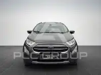 2019 Ford Eco Sport