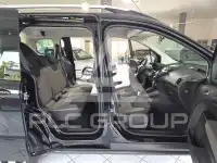 2019 Ford Tourneo