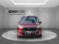 2019 Ford Tourneo