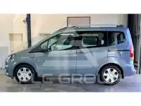 2019 Ford Tourneo