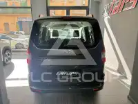 2019 Ford Tourneo