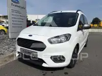 2019 Ford Tourneo