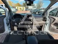 2019 Ford Tourneo