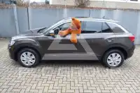 2019 Volkswagen T-Roc