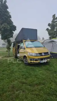2019 Volkswagen T6